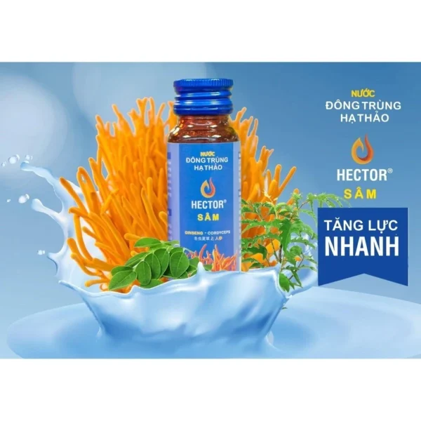 Sâm Đông Trùng Hạ Thảo Hector 50ml - Hình ảnh 3