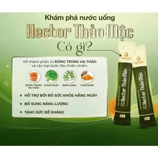 Nước Uống Hector Thảo Mộc (25ml x10 Gói) - Hình ảnh 2