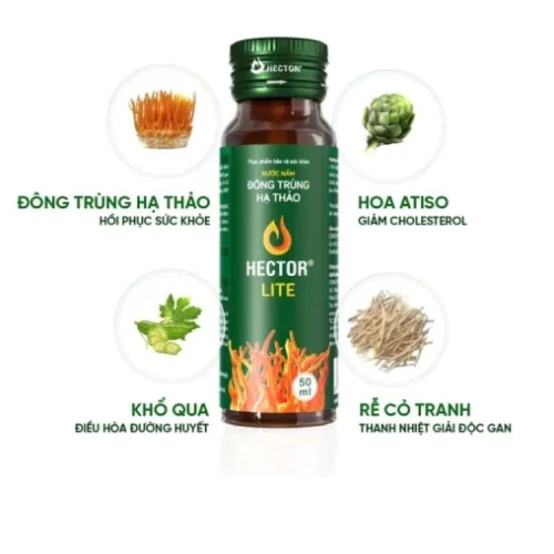 HECTOR Lite - Nước Nấm Đông Trùng Hạ Thảo hỗ trợ sức khoẻ (Xanh Lá)