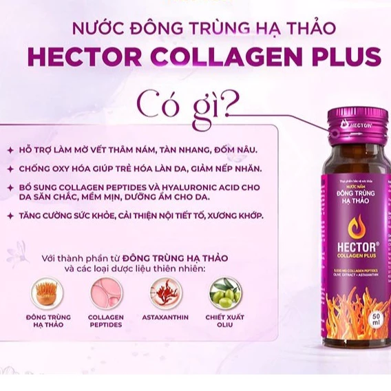 HECTOR Collagen Plus - Nước Nấm Đông Trùng Hạ Thảo Ngăn Ngừa Lão Hoá, Nám Da và Tăng Độ Đàn Hồi Da (Màu Tím) - Hình ảnh 3