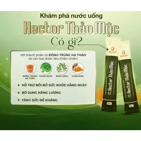 HECTOR Nước uống Thảo mộc thiên nhiên hỗ trợ sức khoẻ dạng gói (25ml x10 gói) - Hình ảnh 3