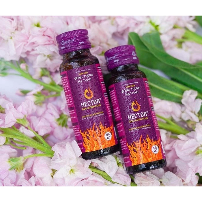 HECTOR Collagen Plus - Nước Nấm Đông Trùng Hạ Thảo Ngăn Ngừa Lão Hoá, Nám Da và Tăng Độ Đàn Hồi Da (Màu Tím) - Hình ảnh 4