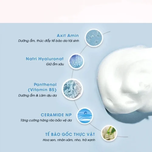 Sữa Rửa Mặt Tạo Bọt Reboncel Aqua Rich Pure Cleanser 200ml tặng kcn EVOR + Minisize